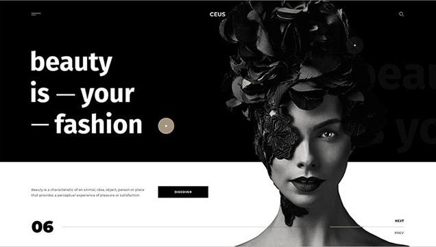 black and white web design UI trends