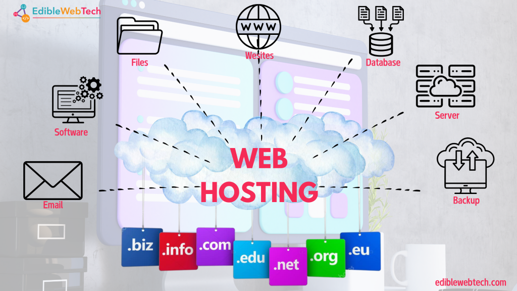 what is web hosting?