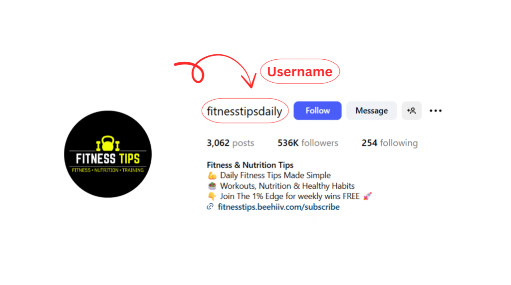 Instagram username