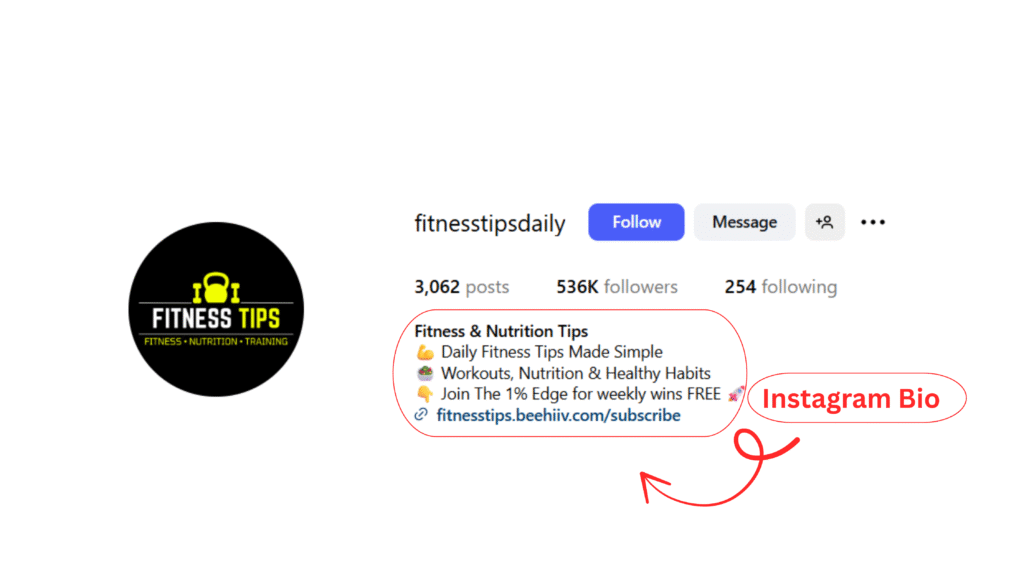 SEO-Friendly Instagram Bio