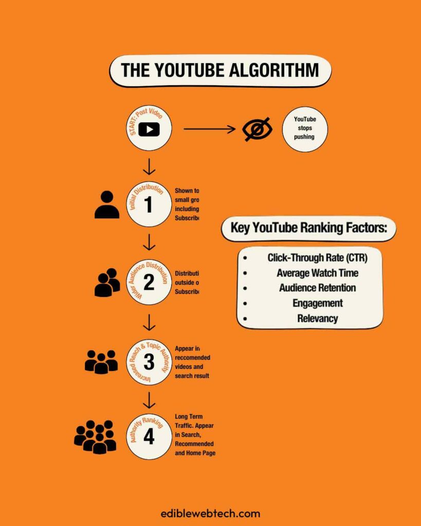 how YouTube algorithm works in 2026
